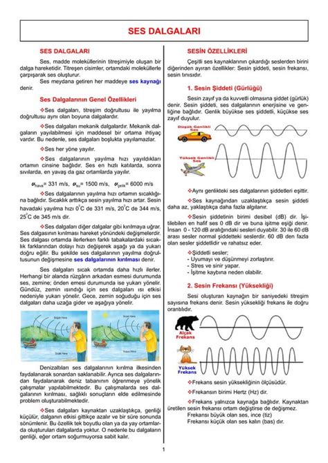 10 sınıf dalgalar konu anlatımı pdf
